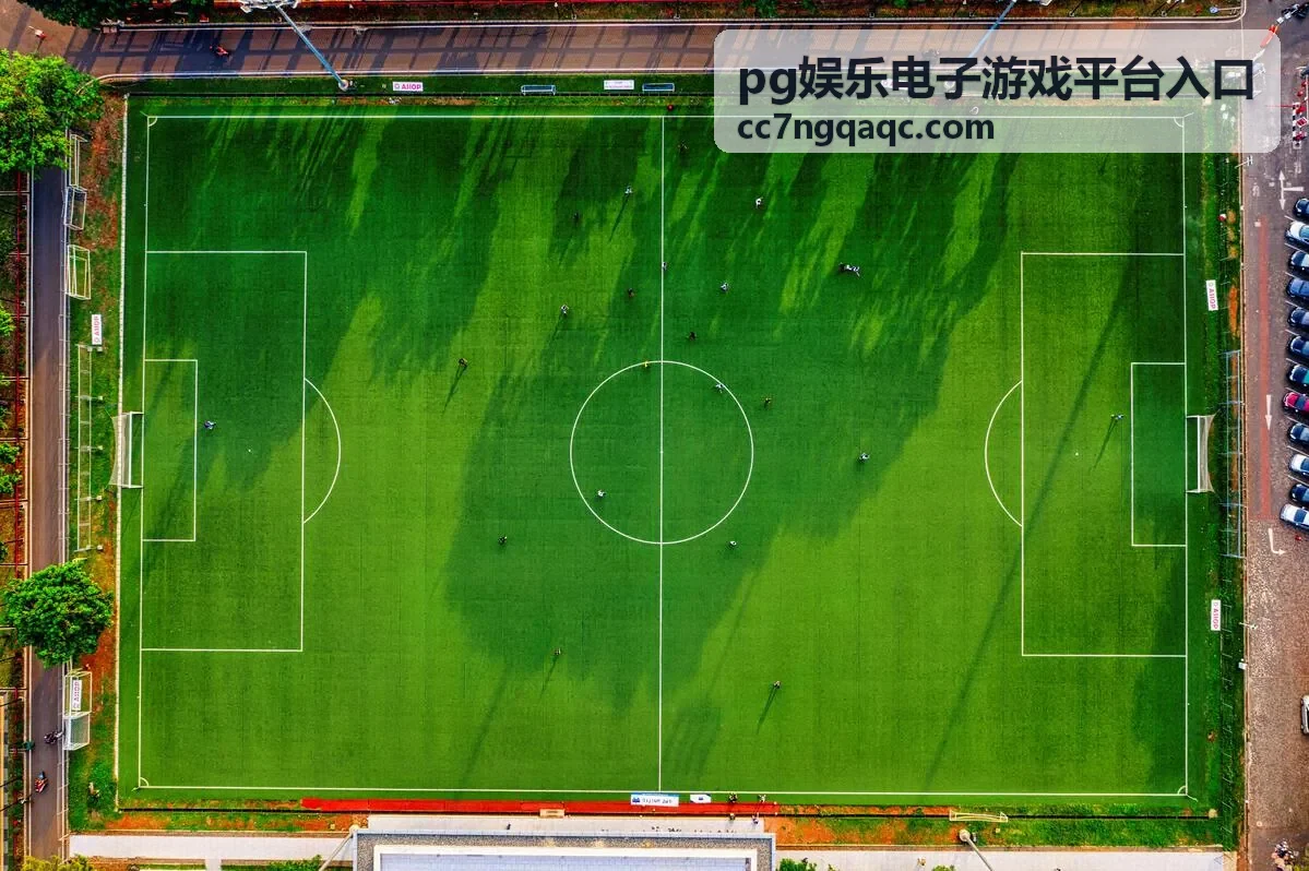 pg娱乐电子游戏平台入口地址核对与页面结构确认